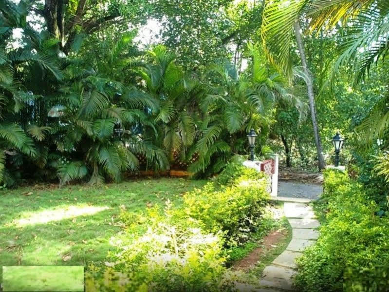 Little Italy Hotel Calangute Ngoại thất bức ảnh
